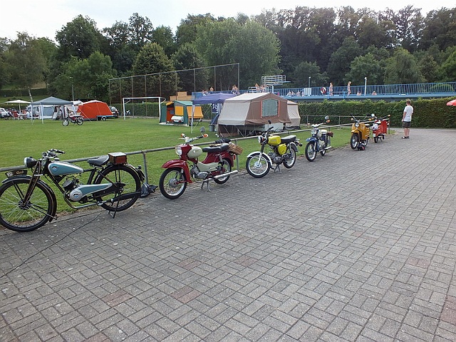 Bild (51)